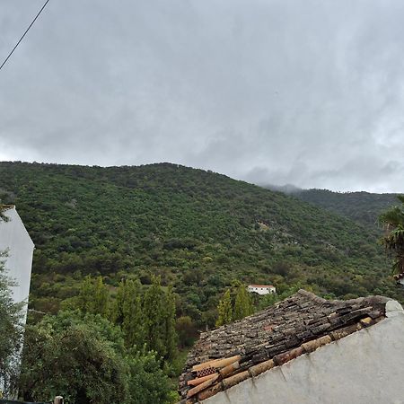 Вилла Casa Sol Бенамаома Экстерьер фото